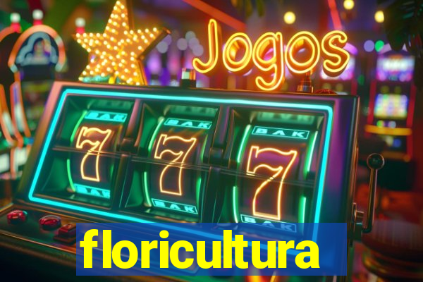 floricultura juazeiro bahia